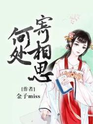 何处寄相思夏楠微全集免费