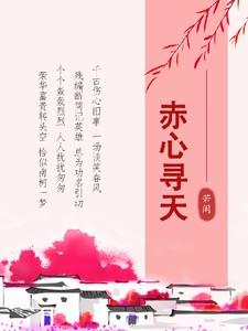 赤心寻天结局
