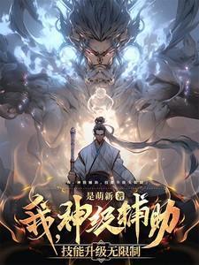 神级辅助系统全文阅读