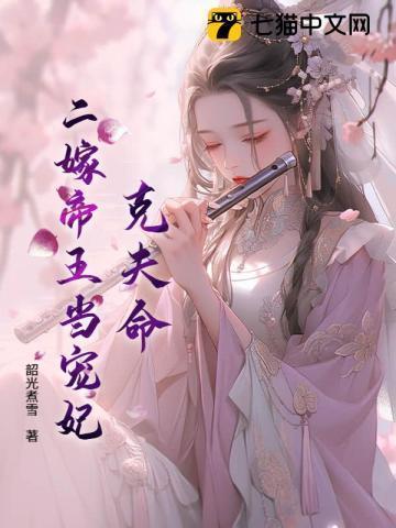 二嫁王妃人物结局