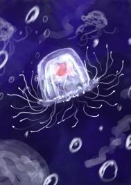 小水母的海底历险记 落瀑