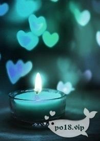 师尊爱她 所以挖她金丹