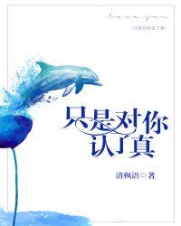 只是对你认了真 结局