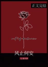 风止何安by笔趣阁免费阅读