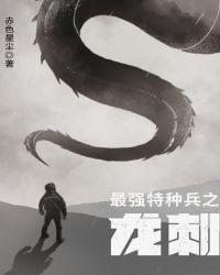 最强特种兵之龙刺第二部