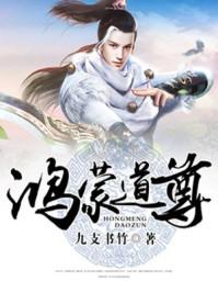 鸿蒙道尊人物